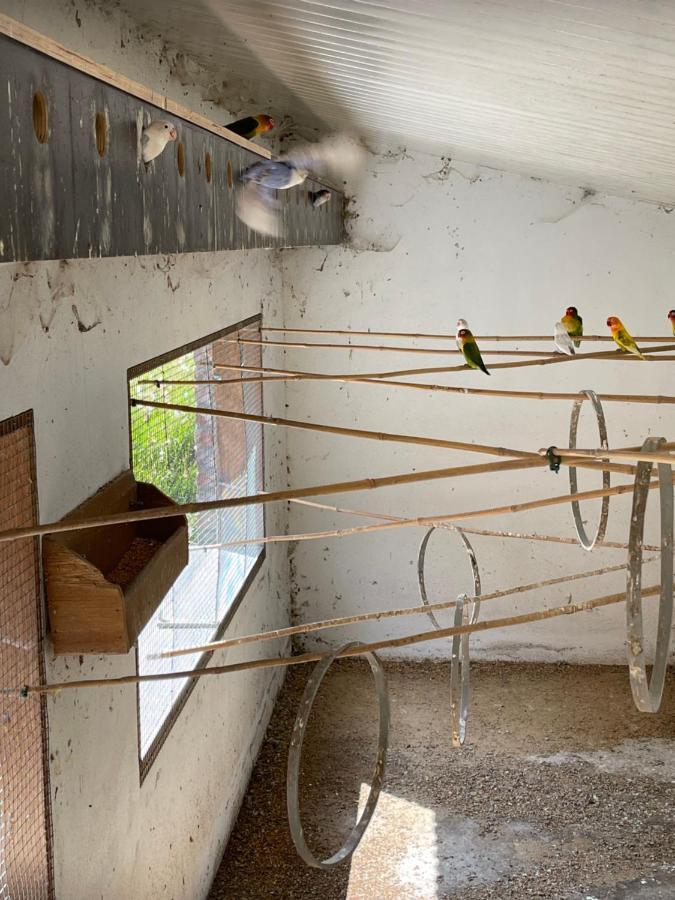 Parel Van Bever - Perle De Bievene Dış mekan fotoğraf