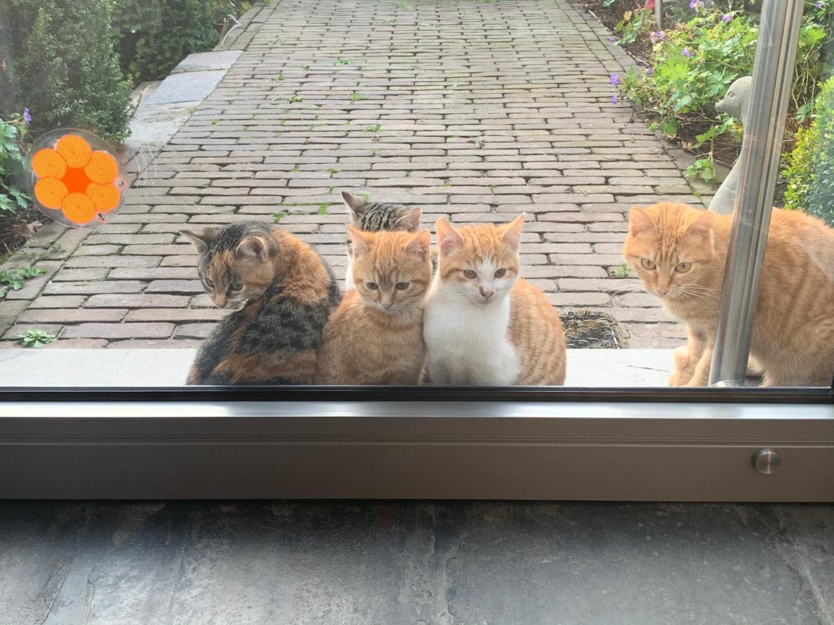 Parel Van Bever - Perle De Bievene Dış mekan fotoğraf